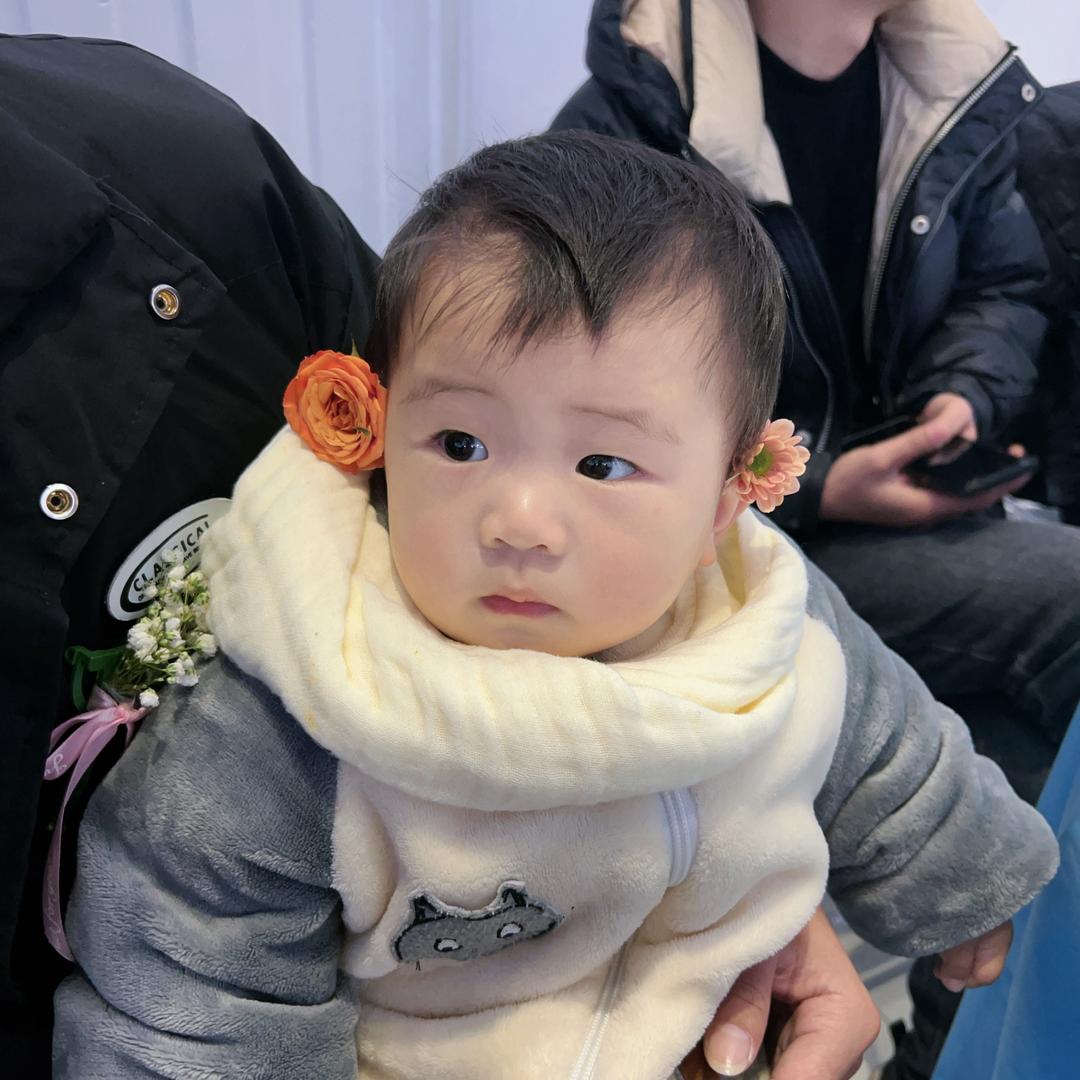 小布丁🍮