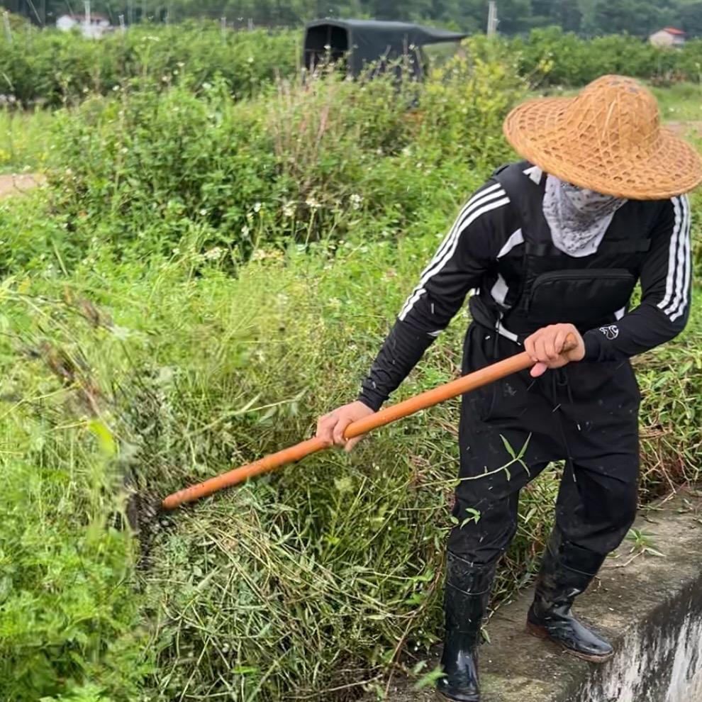 土土爱种菜