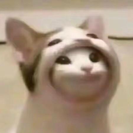 老U