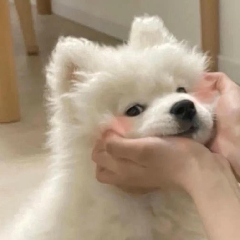 安时允