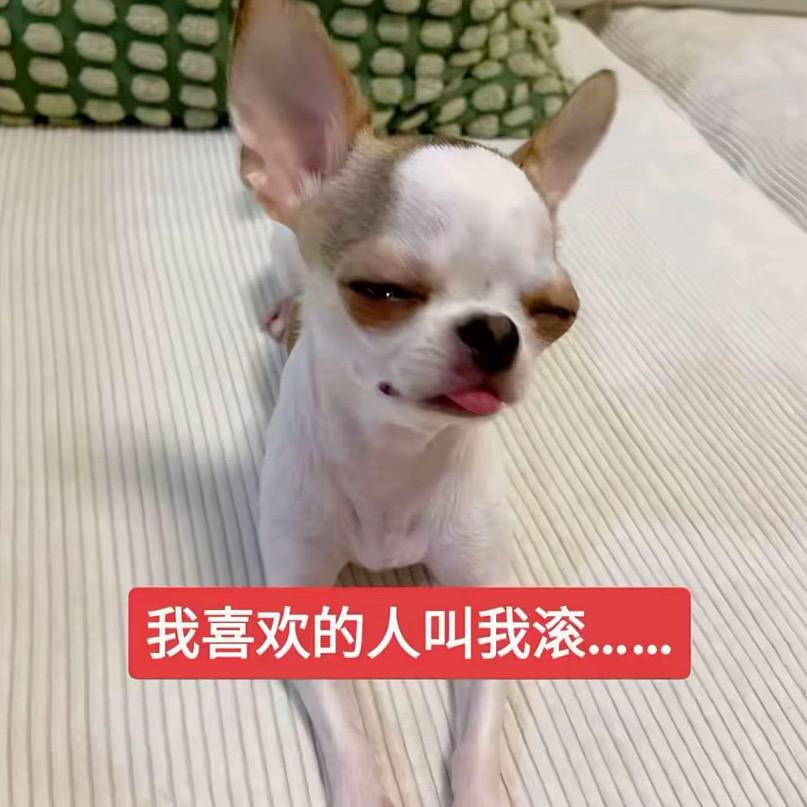 跟闺蜜跪着求前任复合被追了两条街