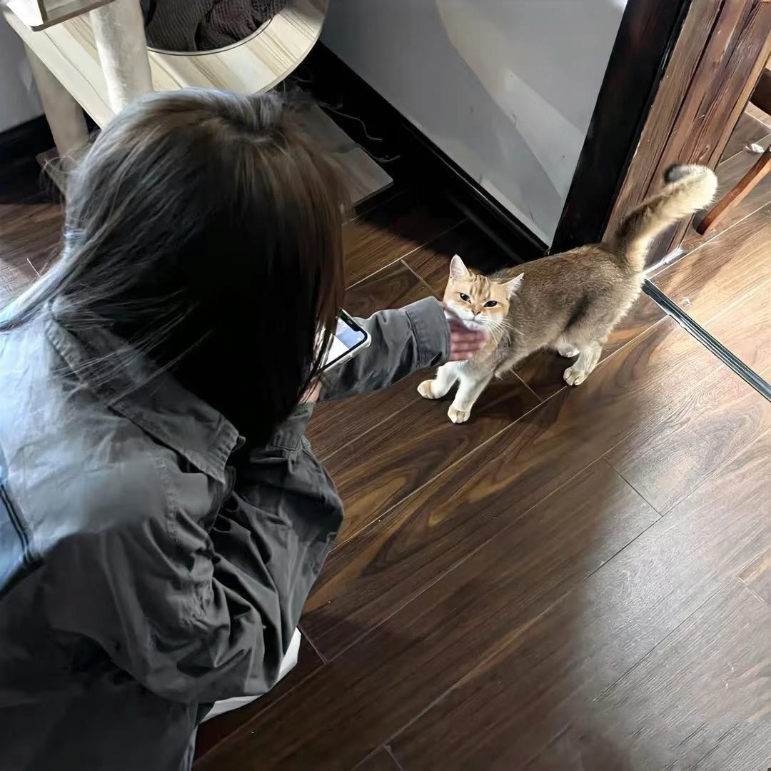 小环