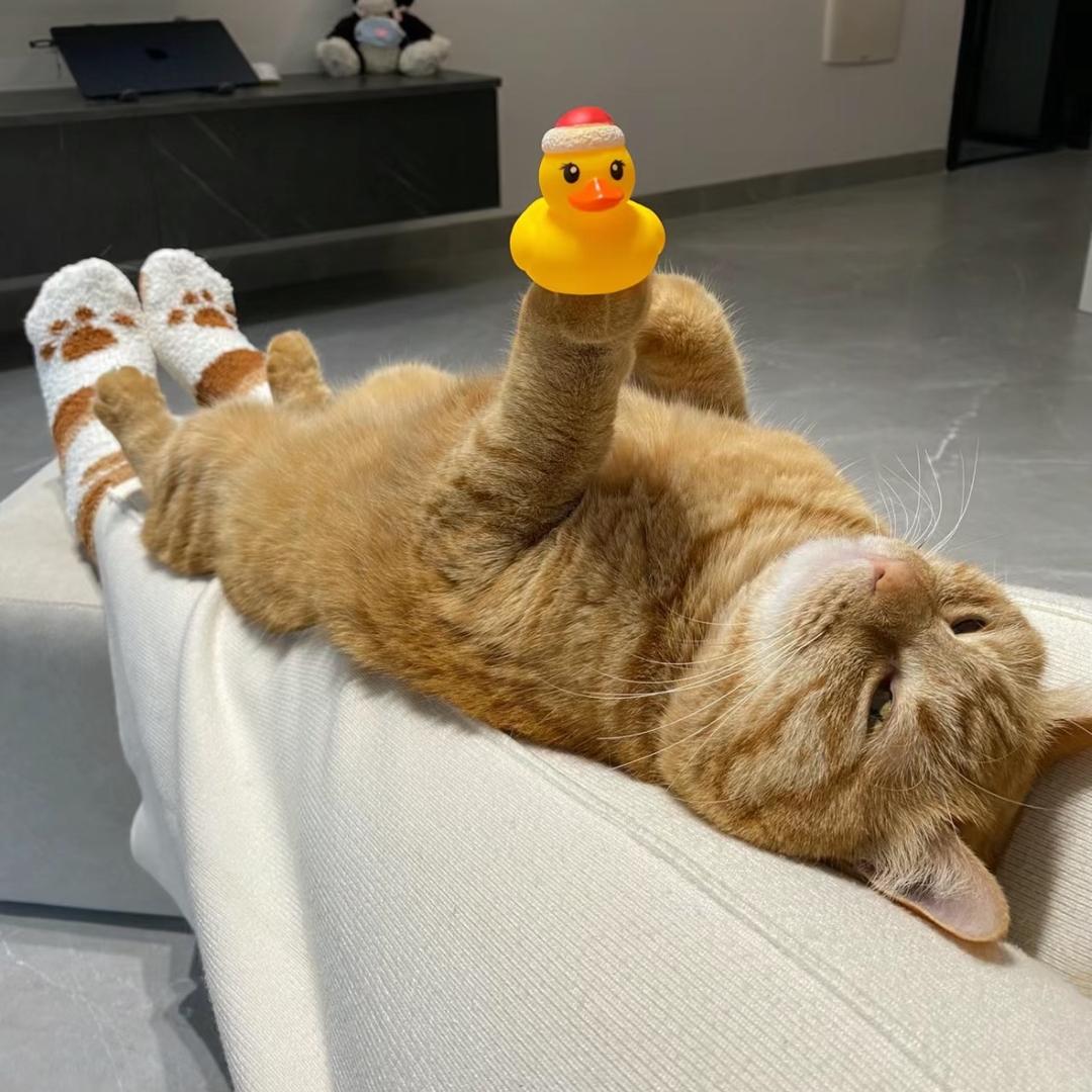 kkkkk