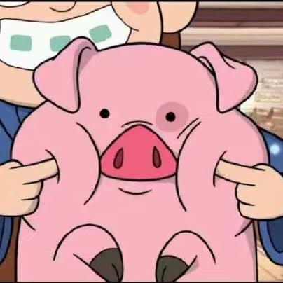 AAA仔猪饲料批发小林