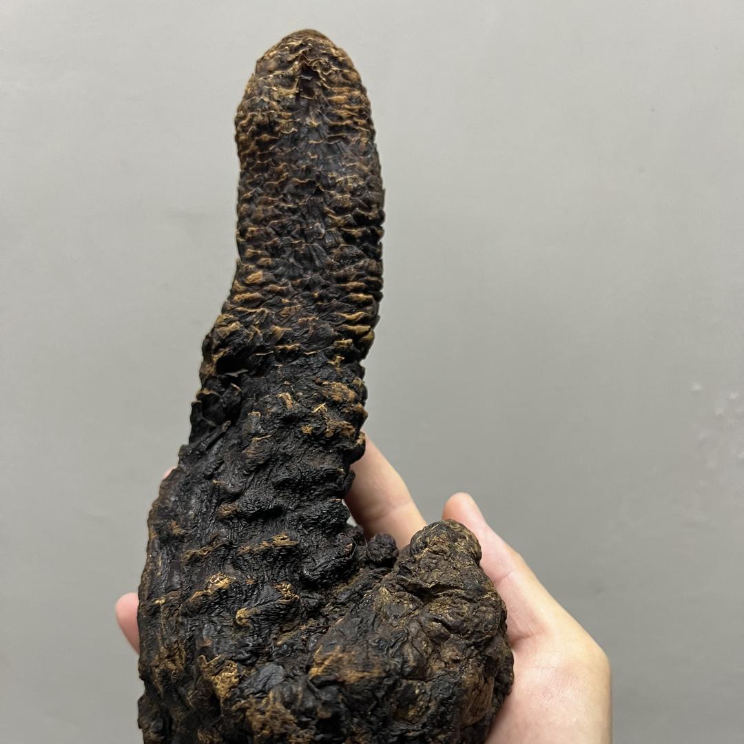 富腾意臻选滋补专营店