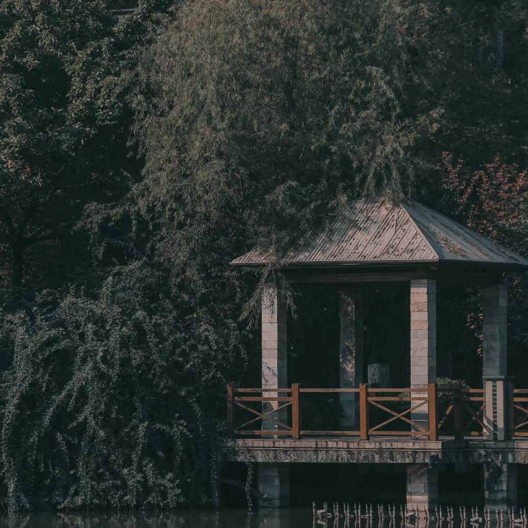 阿西吧呀