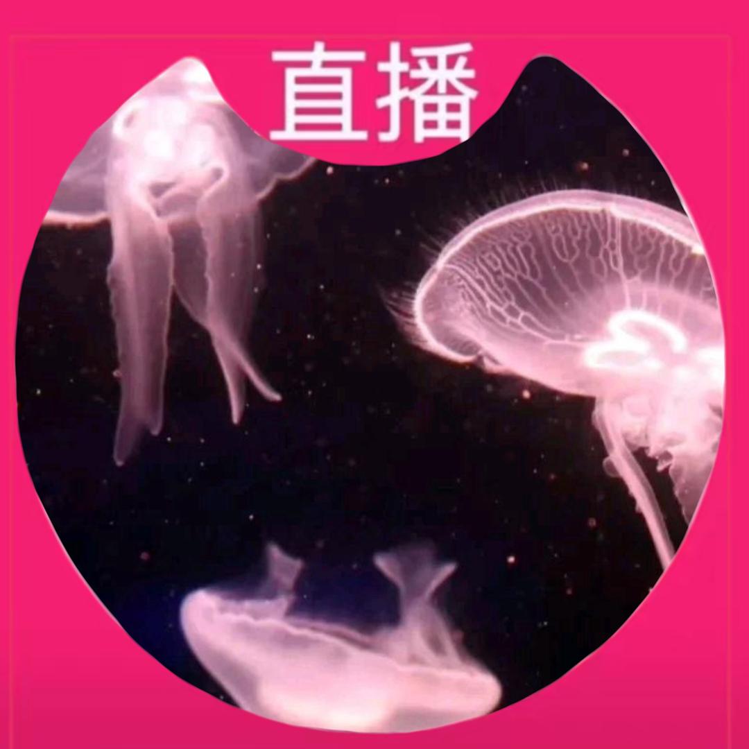 网络大野猪
