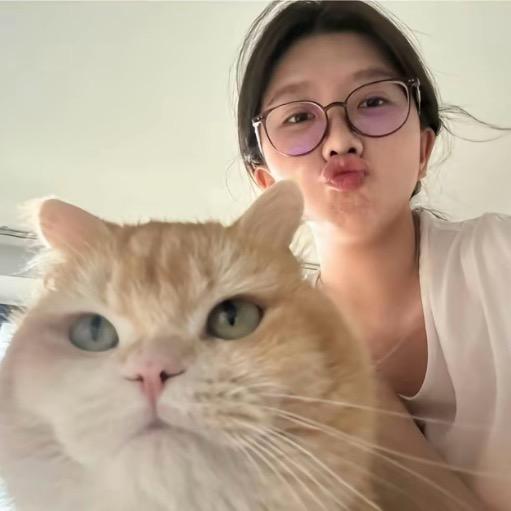 发呆呆呆呆鱼