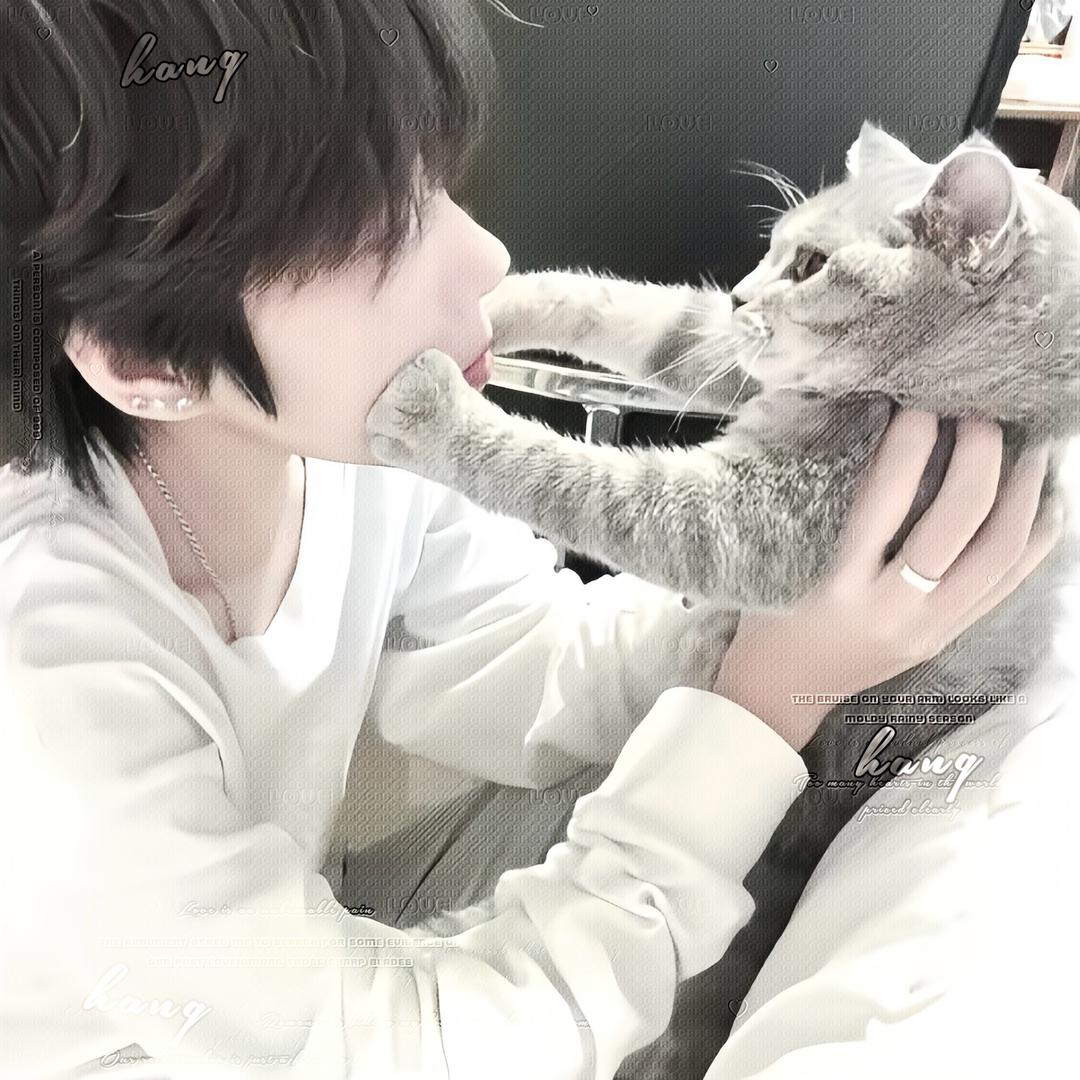 林初