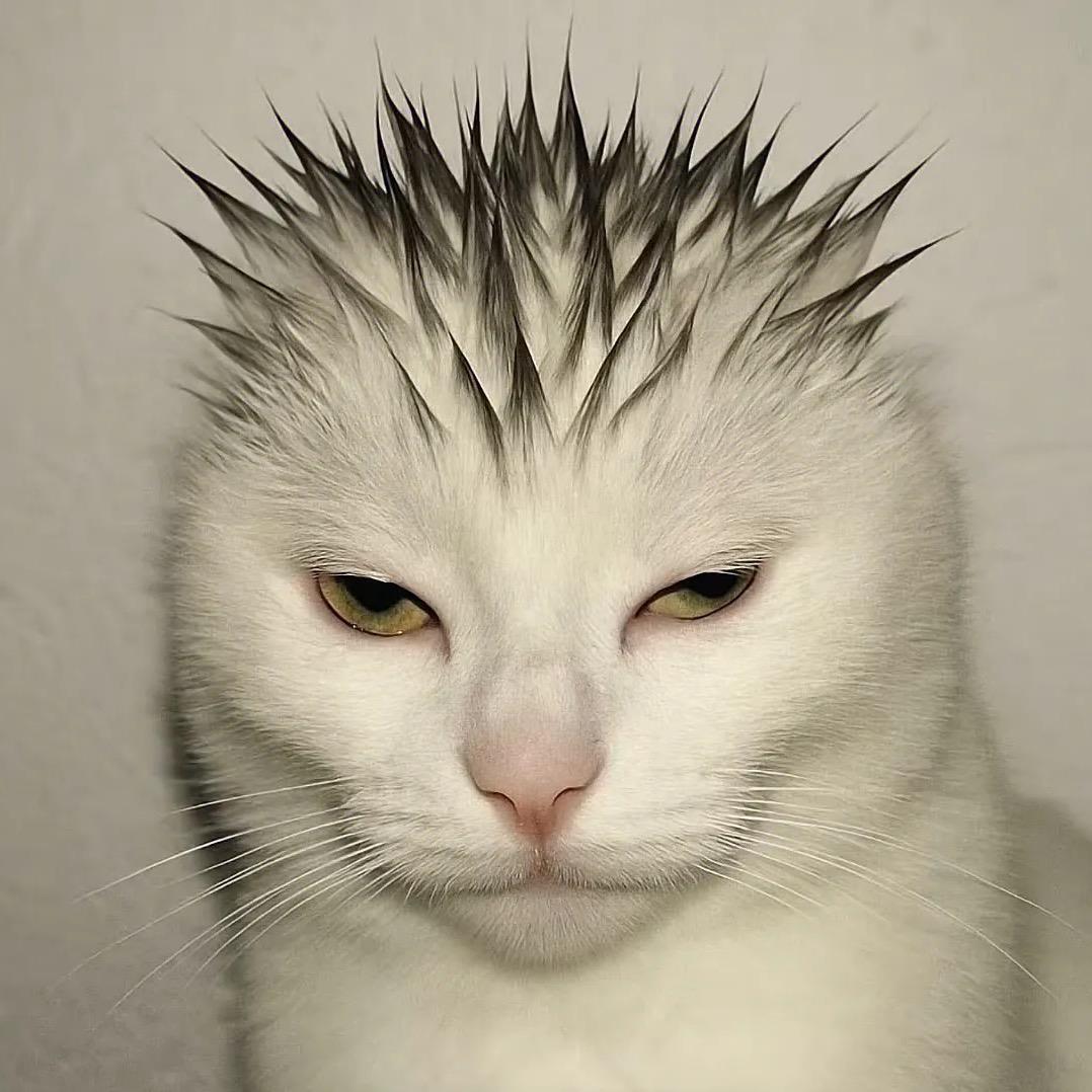 不想上课