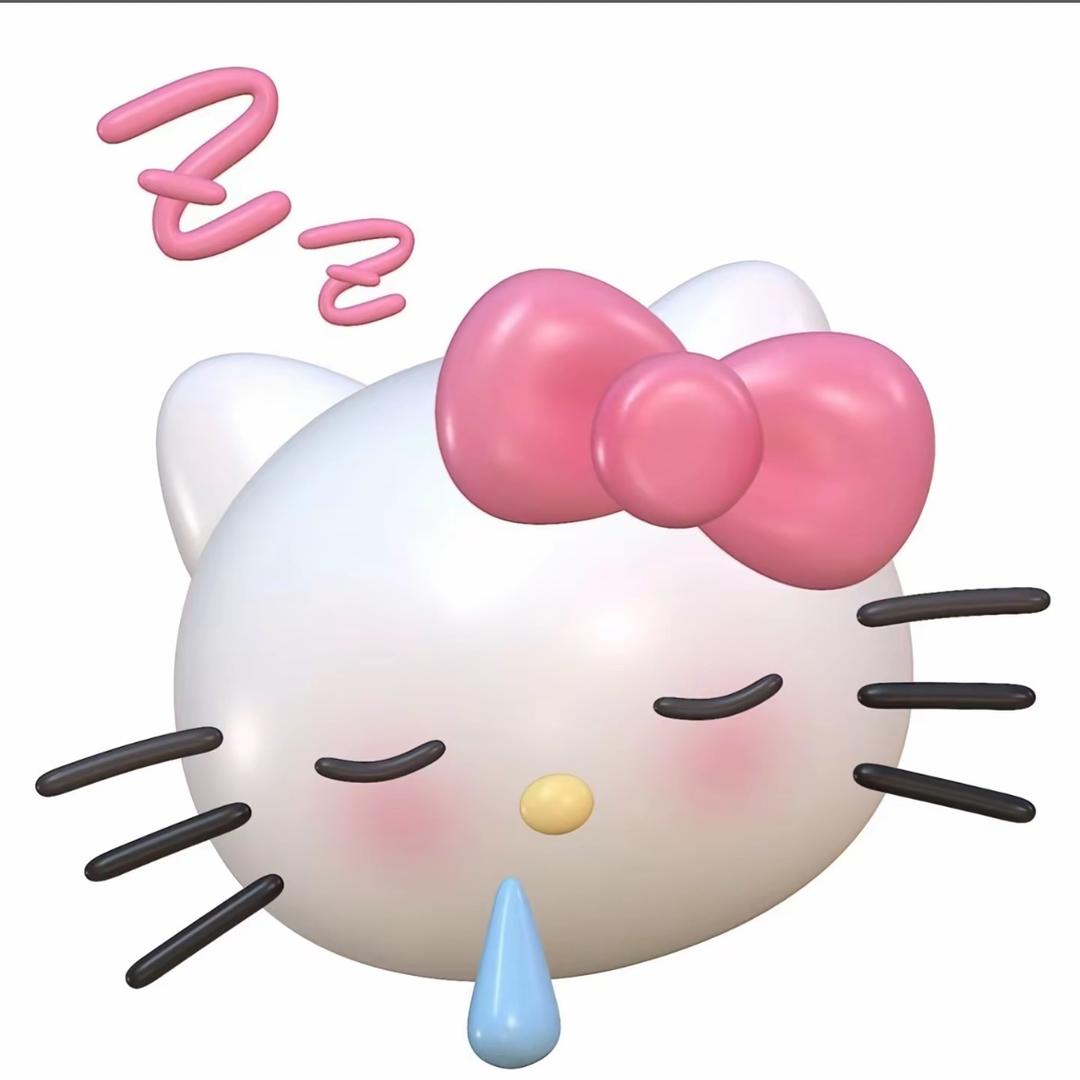 睡觉大王💤