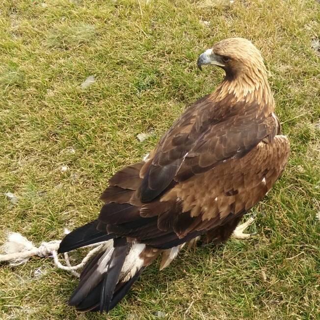 8⃣5⃣⬆️2⃣7⃣