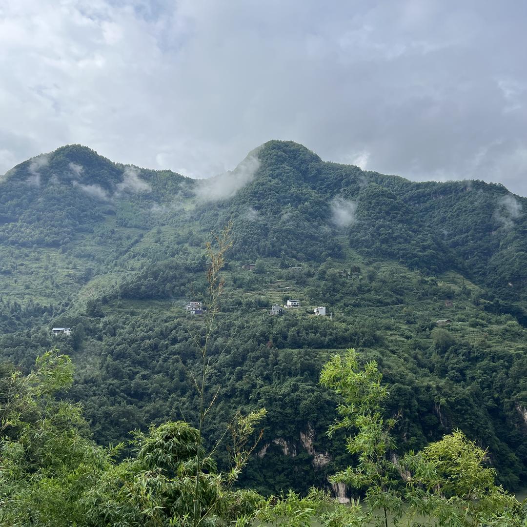 代代高山果农