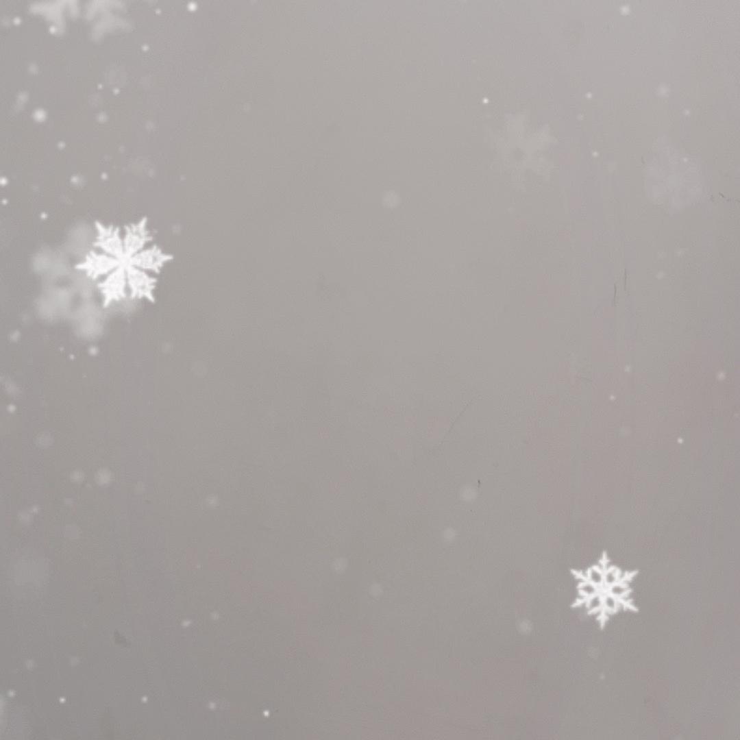 丹丹花卉绿植