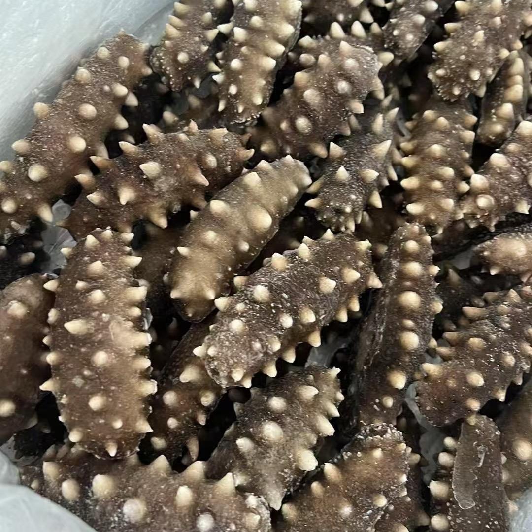 大连海参莒南中转仓