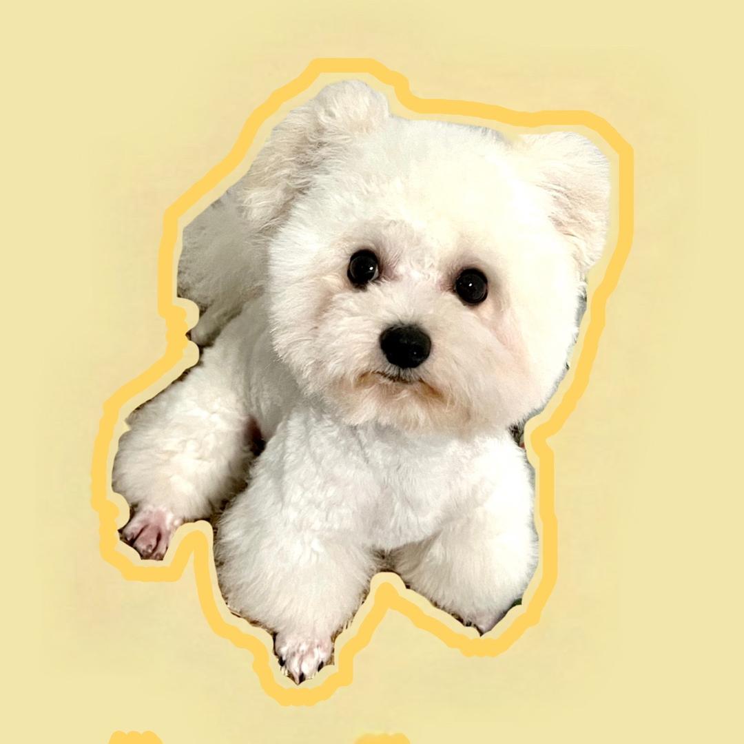 小熊Lucky
