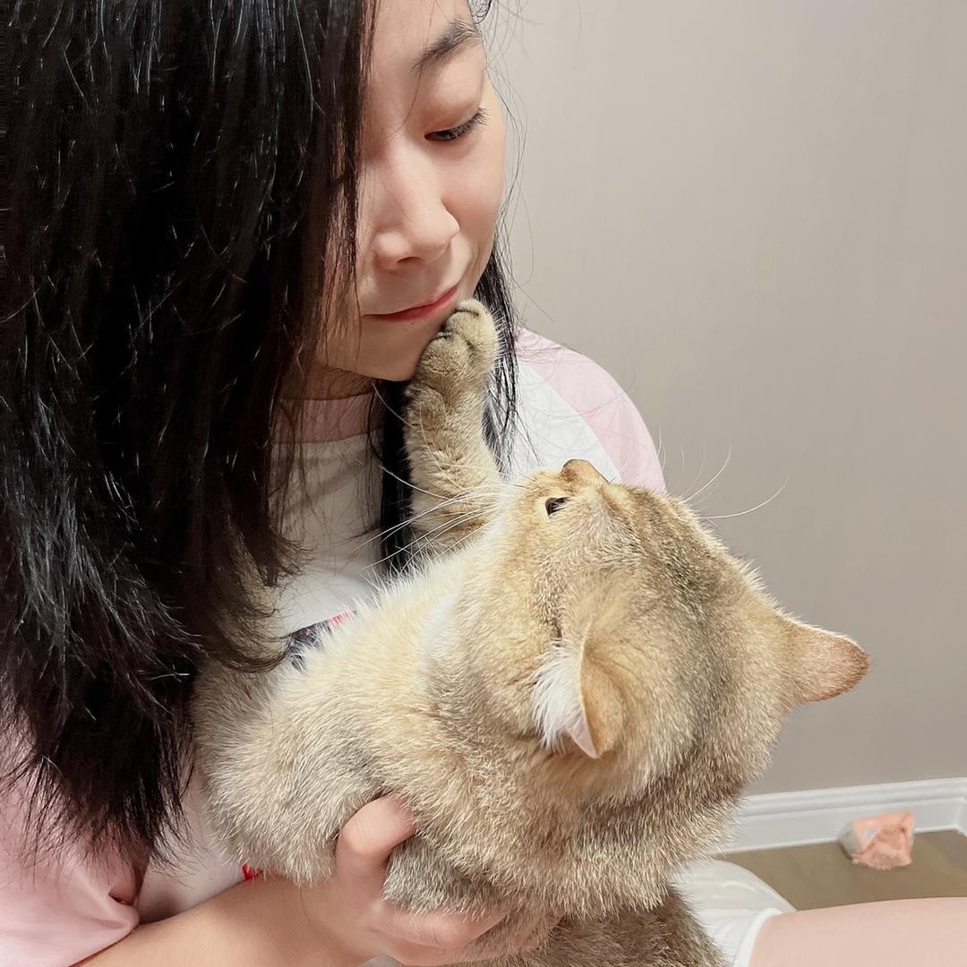 琴子
