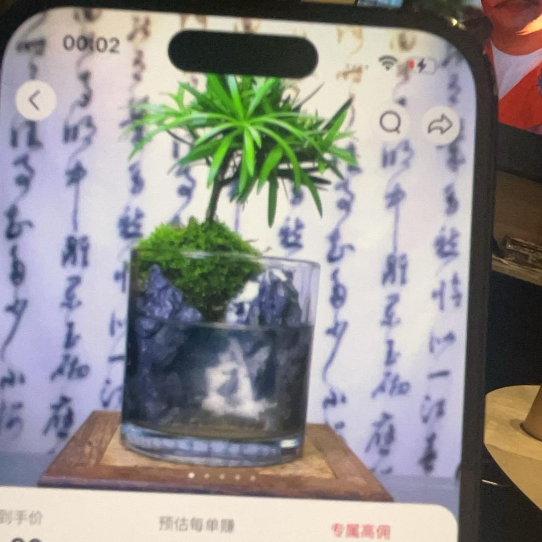 微雅微景
