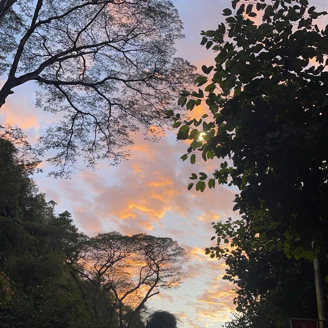 3️⃣3️⃣的鹿先森