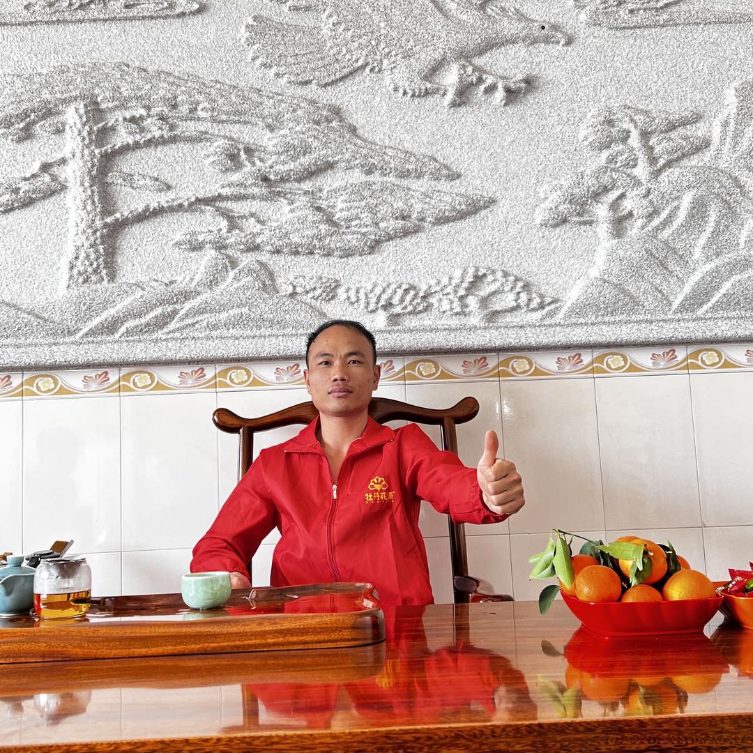 阿彪哥【做装修】