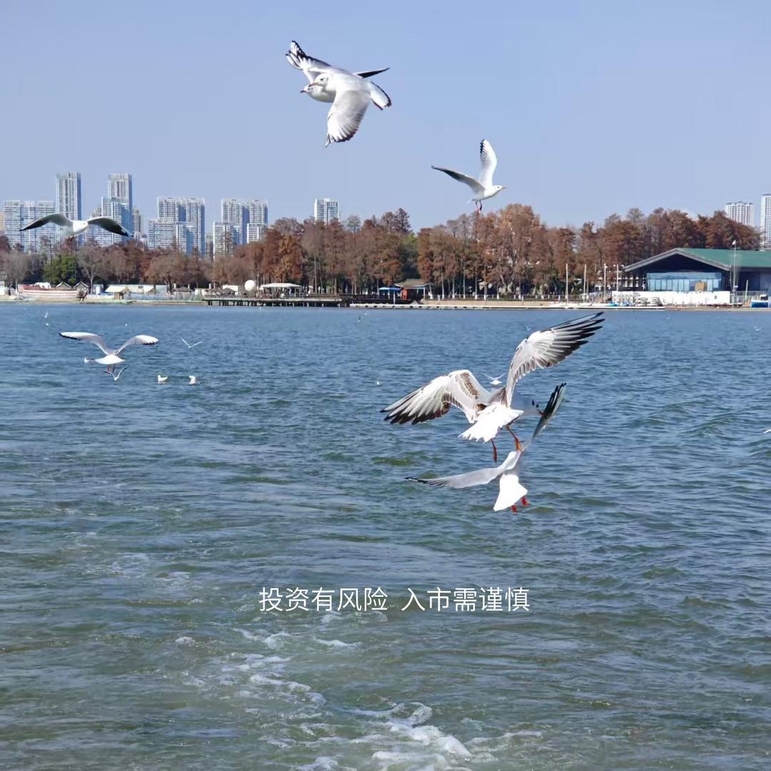 股市大师兄