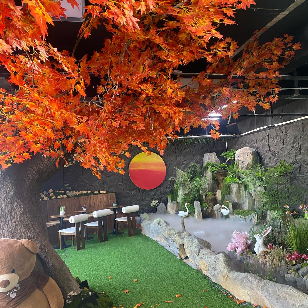 初见绿植店