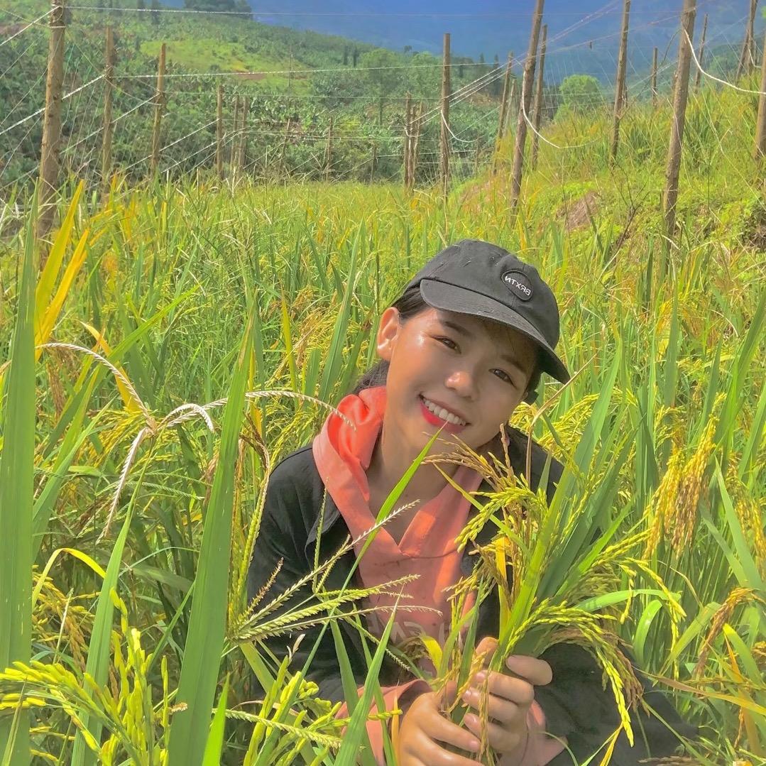 云南的小马饱莉🐎