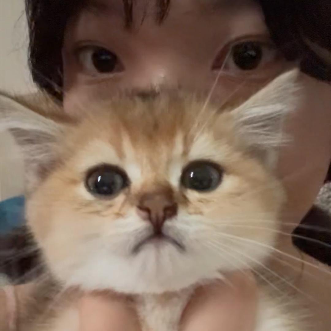 ㅤㅤㅤㅤㅤㅤㅤㅤㅤㅤㅤㅤㅤㅤㅤㅤ