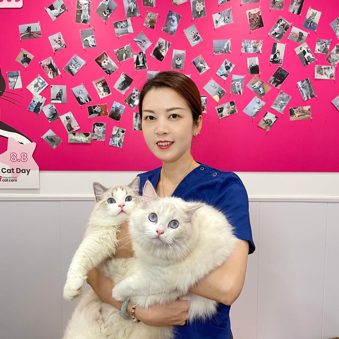 养布偶的杨兽医