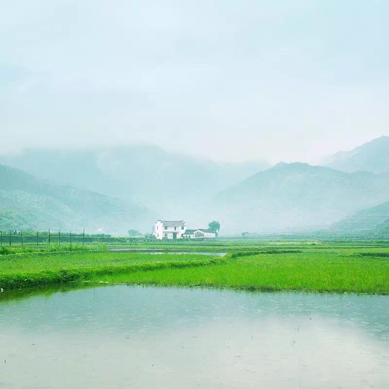 云深不知济沧海头像