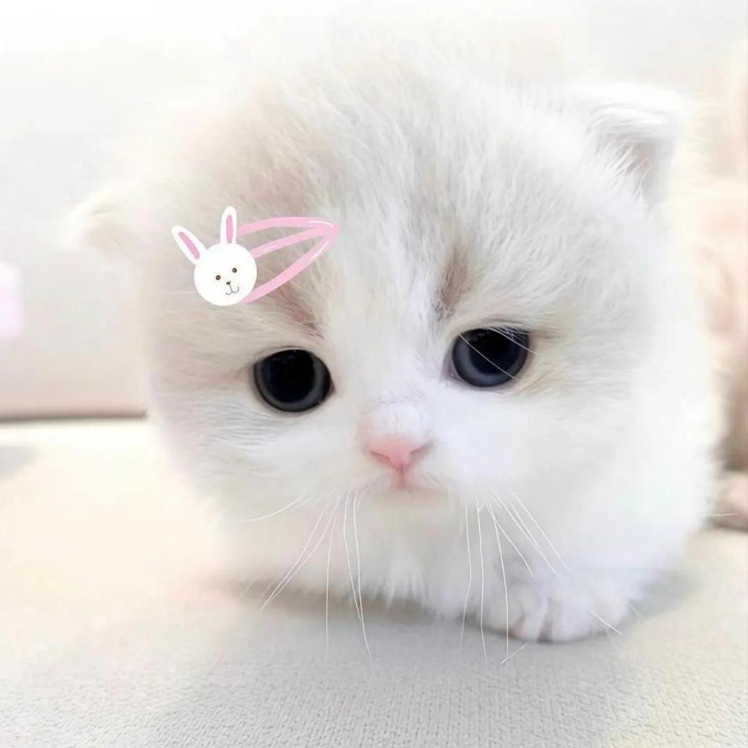 泪痕^