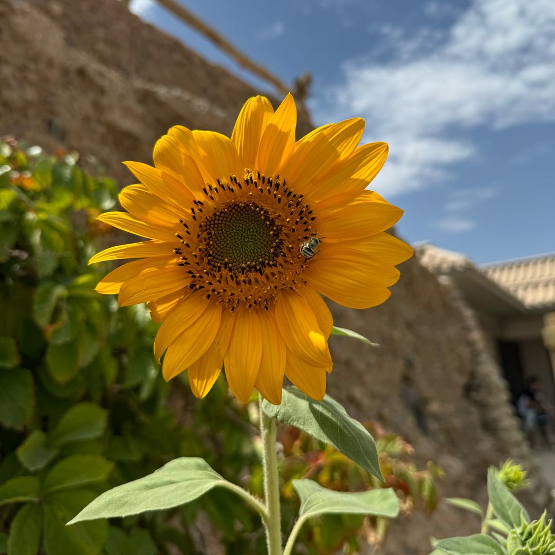 百衣百色是我的秘密