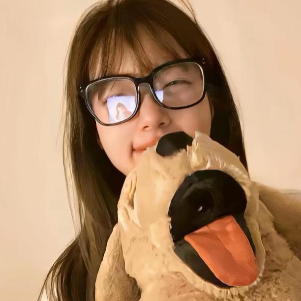 泰科小凤