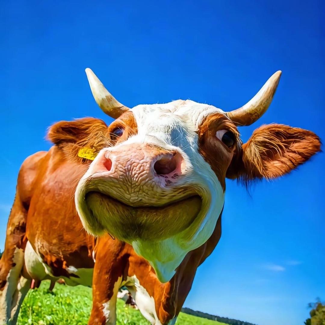 制作笛子的老登