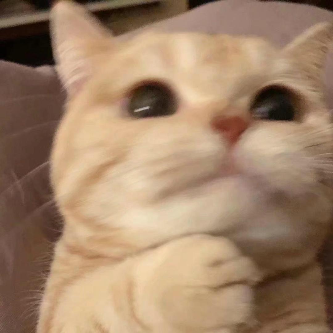 予