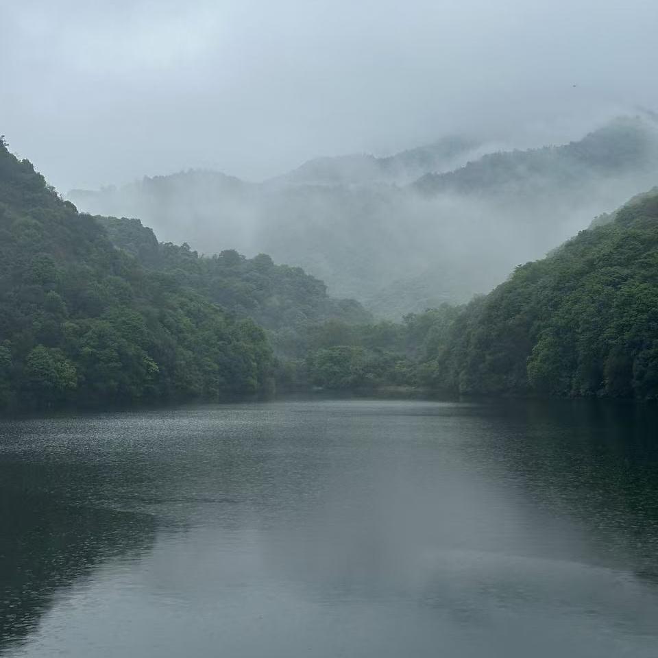44603177565