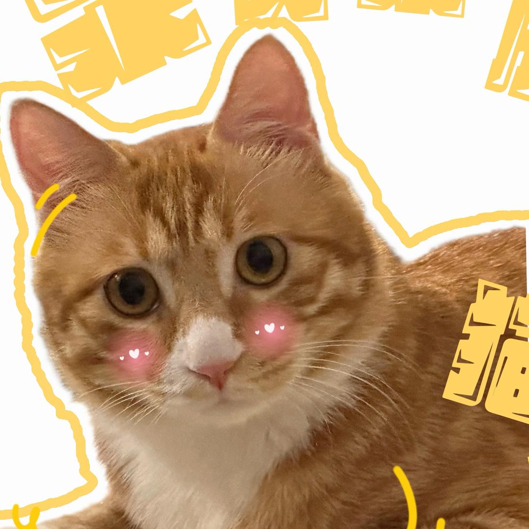 七月是狮子头🦁