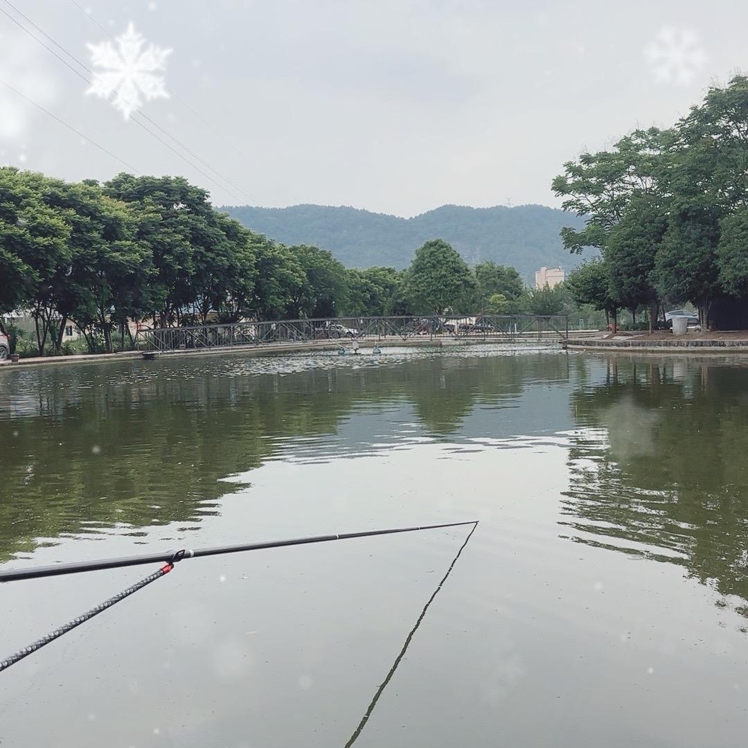 鱼乐湾鲢鳙钓场