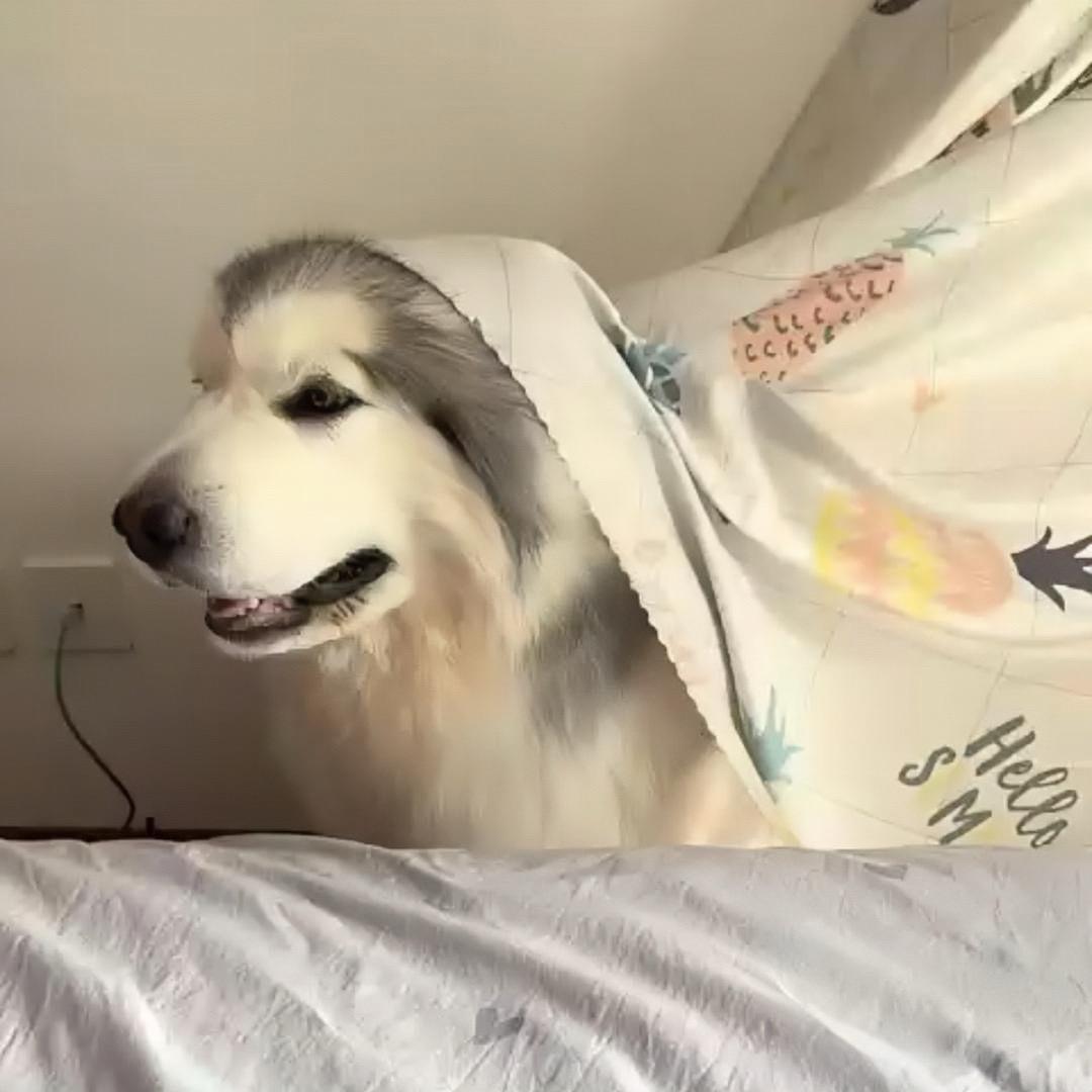 发财日记