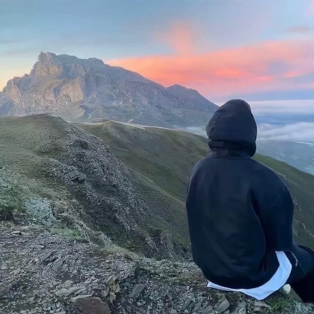 除了脑子就是胆