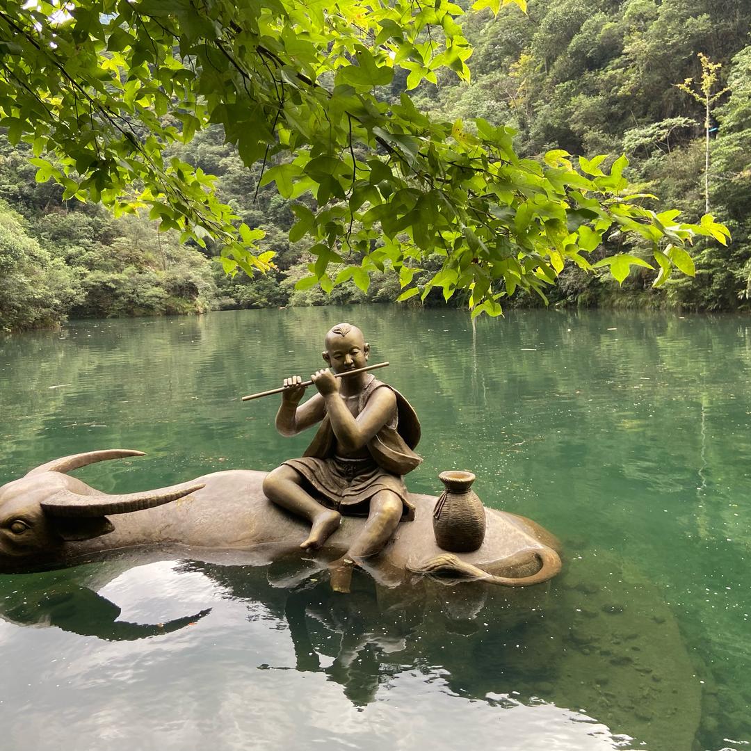 兜兜风的小毛驴