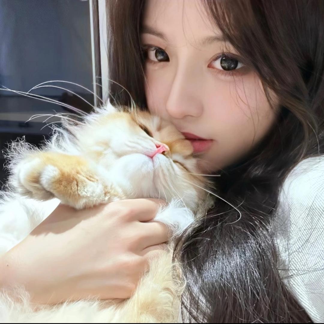 ฅ猫猫菠萝头ฅ