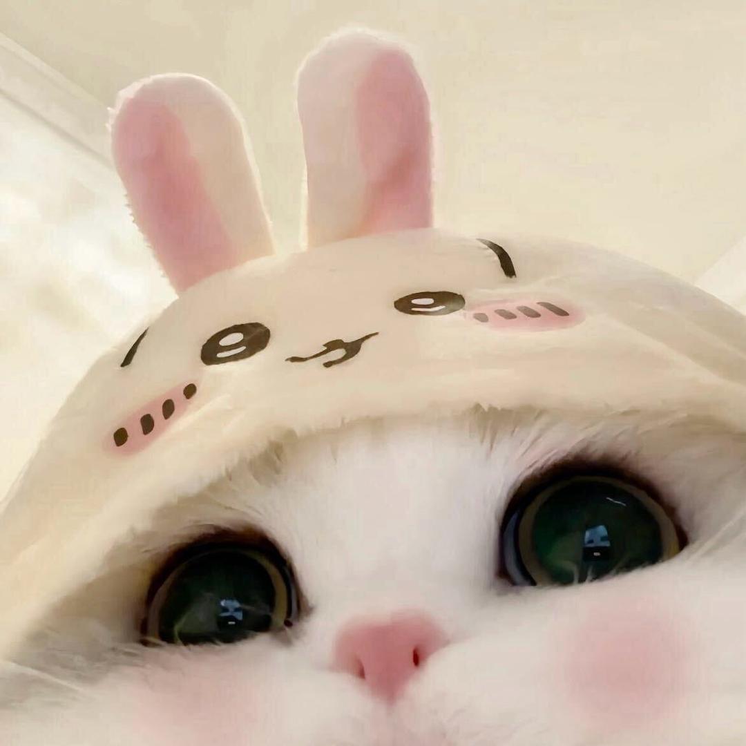 没意思