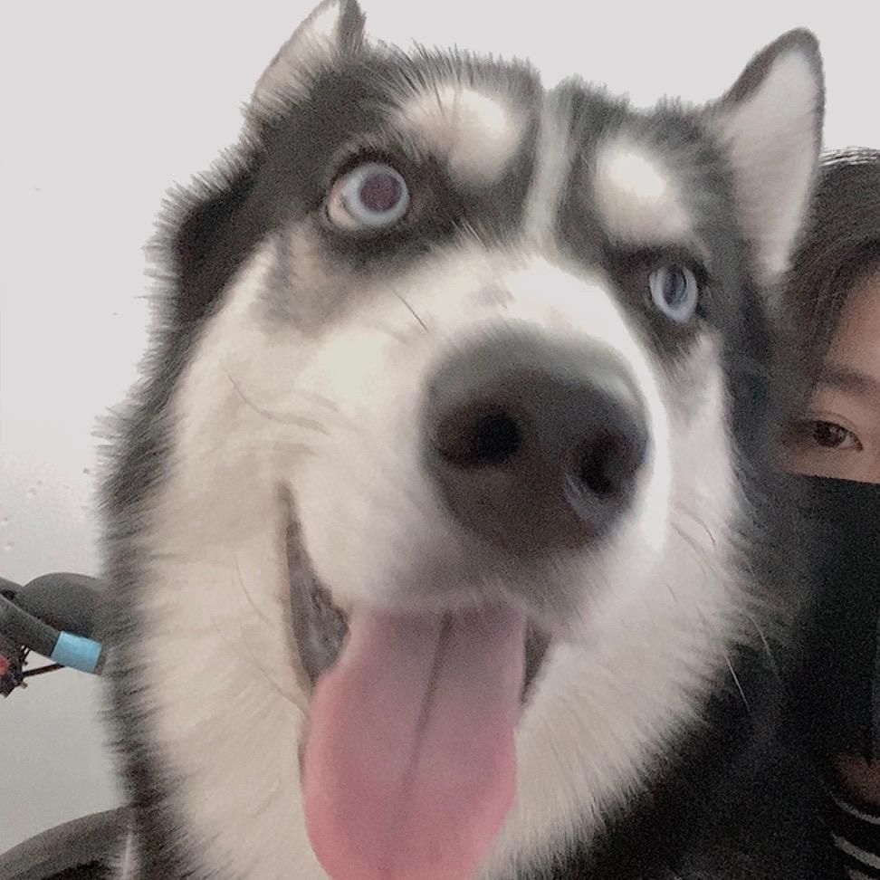 夏天天夏的天