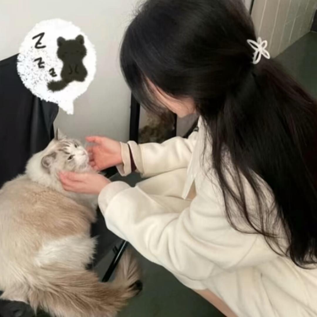 呆呆小猫。