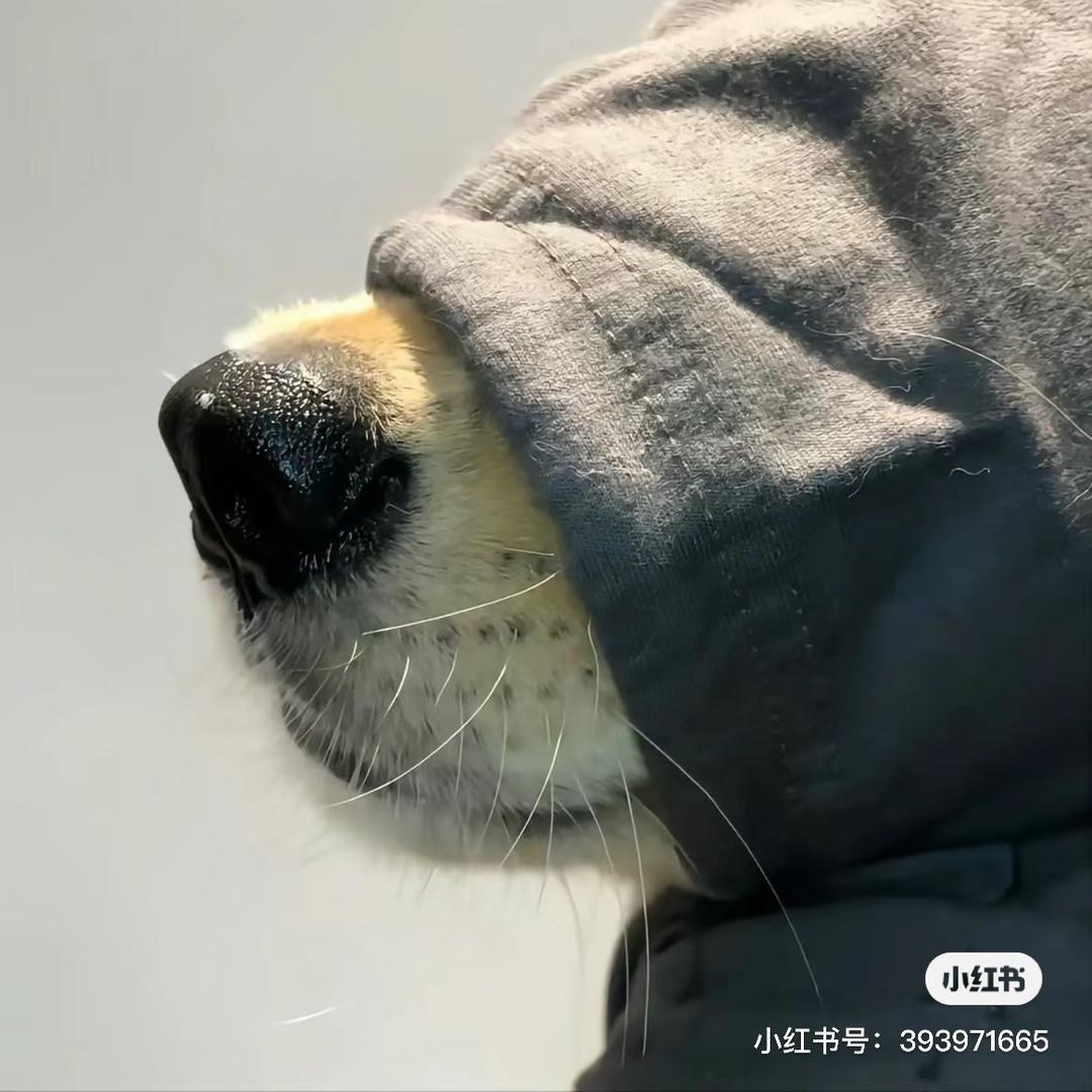 你的小陈哥🇨🇳