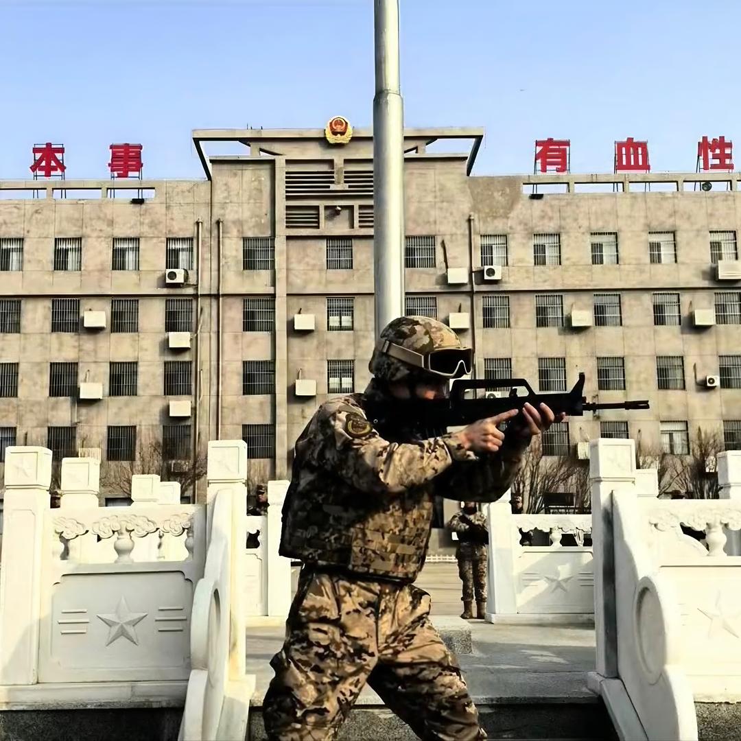 柏树.