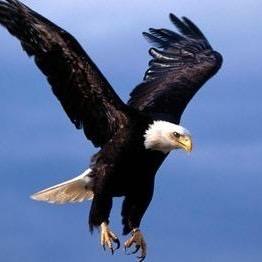 （贵州赵公子）