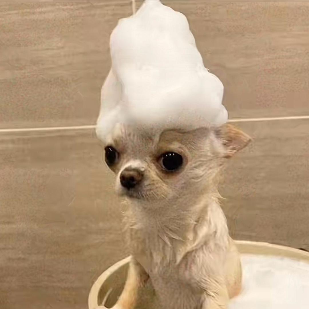 小项
