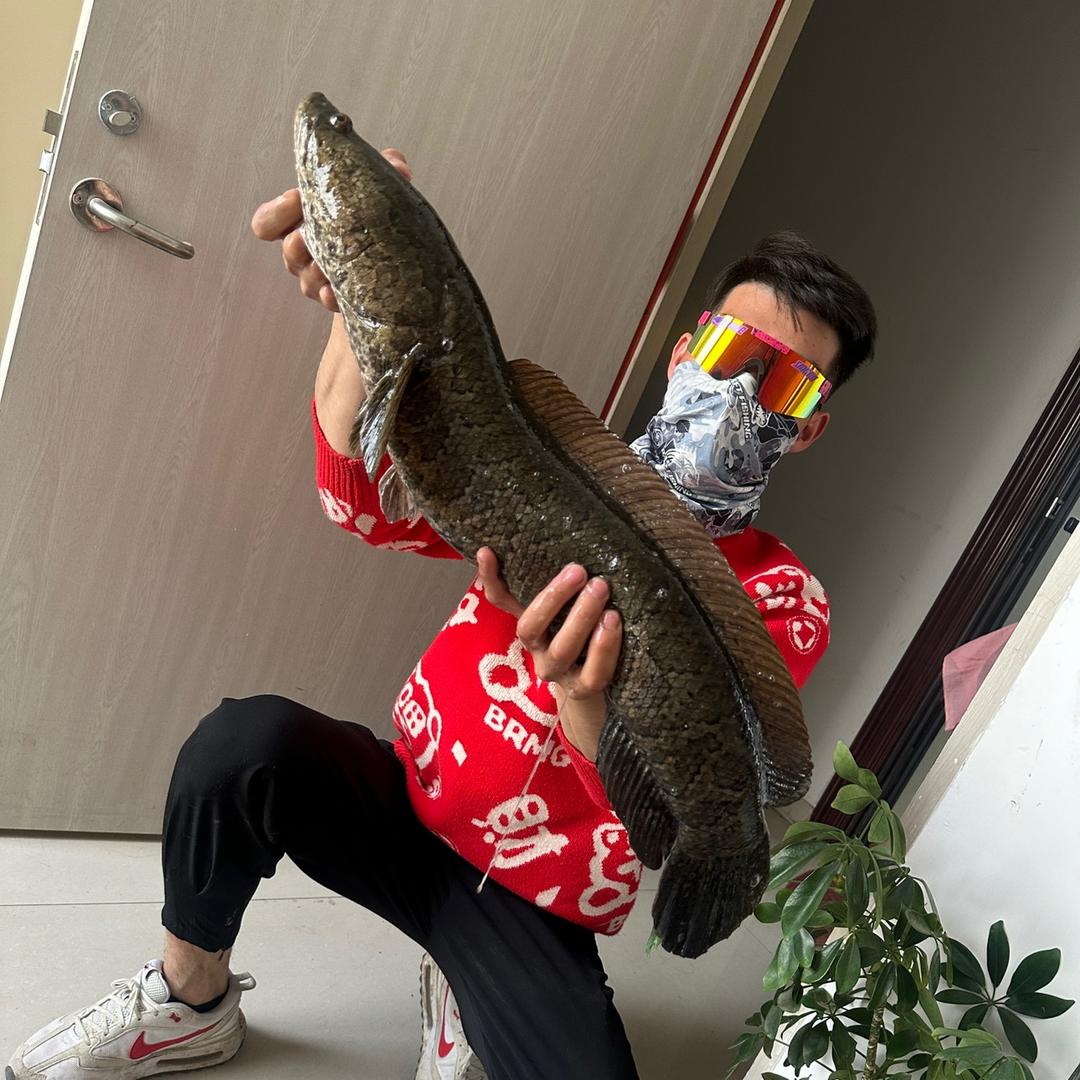 潍坊寻雷队-老逵